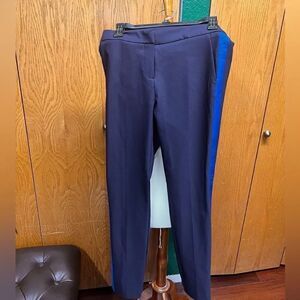 EUC Renuar Dress Slacks Inseam 28, Blue Stripe On Both Sides Size 2 #DP1